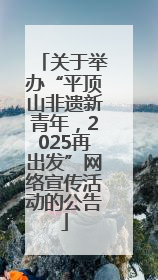 关于举办“平顶山非遗新青年，2025再出发”网络宣传活动的公告