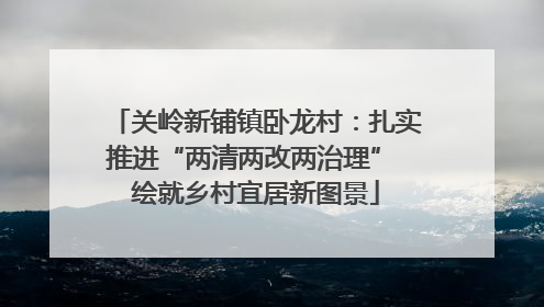 关岭新铺镇卧龙村：扎实推进“两清两改两治理” 绘就乡村宜居新图景