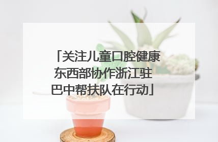 关注儿童口腔健康 东西部协作浙江驻巴中帮扶队在行动
