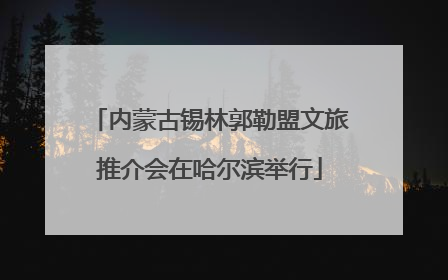 内蒙古锡林郭勒盟文旅推介会在哈尔滨举行