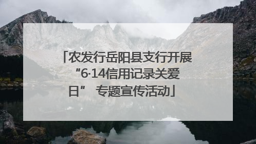 农发行岳阳县支行开展“6·14信用记录关爱日” 专题宣传活动
