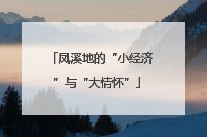 凤溪地的“小经济”与“大情怀”