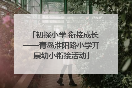 初探小学 衔接成长——青岛淮阳路小学开展幼小衔接活动