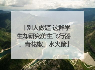别人做题 这群学生却研究仿生飞行器、青花椒、水火箭