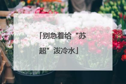 别急着给“苏超”泼冷水