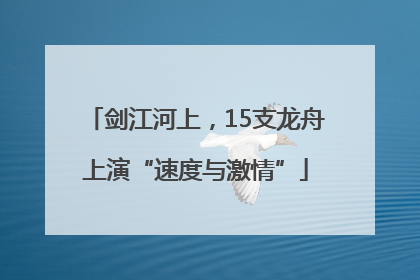 剑江河上，15支龙舟上演“速度与激情”