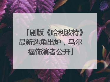 剧版《哈利波特》最新选角出炉，马尔福饰演者公开