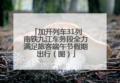 加开列车31列 南铁九江车务段全力满足旅客端午节假期出行（图）