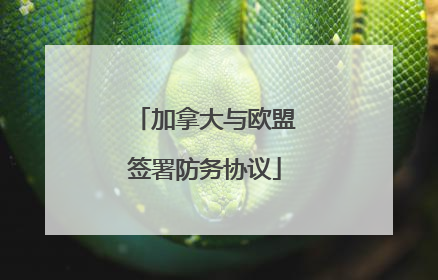 加拿大与欧盟签署防务协议