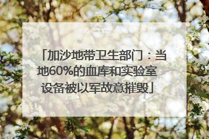 加沙地带卫生部门：当地60%的血库和实验室设备被以军故意摧毁