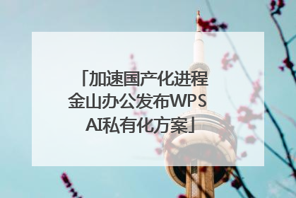 加速国产化进程 金山办公发布WPS AI私有化方案