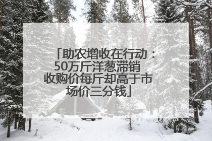 助农增收在行动：50万斤洋葱滞销 收购价每斤却高于市场价三分钱