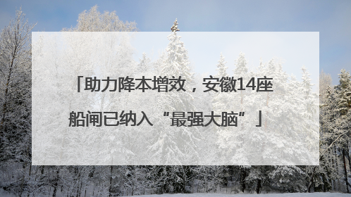 助力降本增效，安徽14座船闸已纳入“最强大脑”