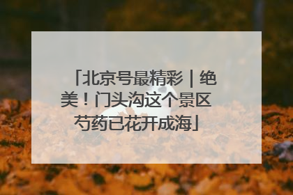 北京号最精彩｜绝美！门头沟这个景区芍药已花开成海