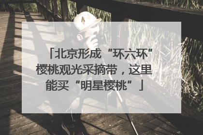 北京形成“环六环”樱桃观光采摘带，这里能买“明星樱桃”