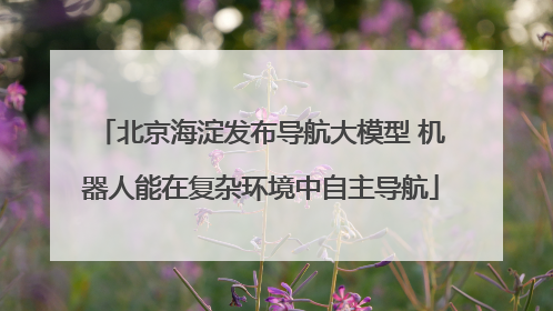 北京海淀发布导航大模型 机器人能在复杂环境中自主导航