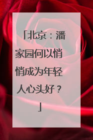 北京：潘家园何以悄悄成为年轻人心头好？