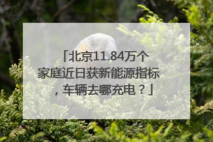 北京11.84万个家庭近日获新能源指标，车辆去哪充电？