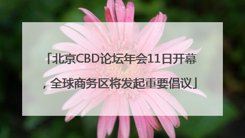 北京CBD论坛年会11日开幕，全球商务区将发起重要倡议