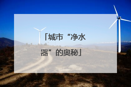 城市“净水器”的奥秘