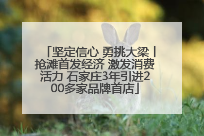 坚定信心 勇挑大梁丨抢滩首发经济 激发消费活力 石家庄3年引进200多家品牌首店