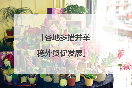 各地多措并举稳外贸促发展