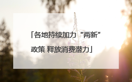 各地持续加力“两新”政策 释放消费潜力