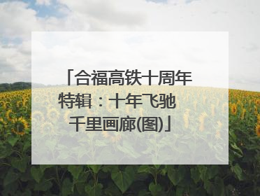 合福高铁十周年特辑：十年飞驰 千里画廊(图)