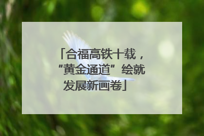 合福高铁十载，“黄金通道”绘就发展新画卷
