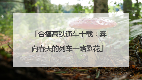 合福高铁通车十载：奔向春天的列车一路繁花