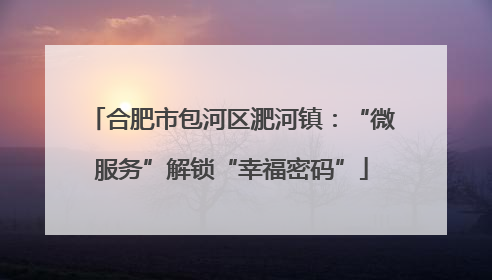 合肥市包河区淝河镇：“微服务”解锁“幸福密码”
