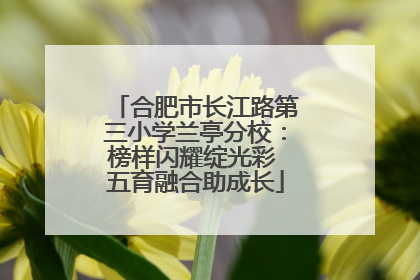 合肥市长江路第三小学兰亭分校：榜样闪耀绽光彩 五育融合助成长