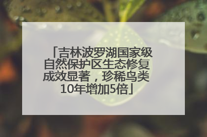 吉林波罗湖国家级自然保护区生态修复成效显著，珍稀鸟类10年增加5倍