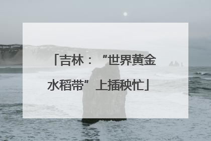 吉林：“世界黄金水稻带”上插秧忙