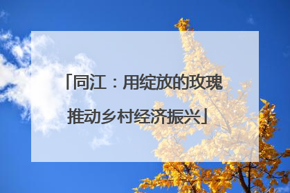 同江：用绽放的玫瑰 推动乡村经济振兴