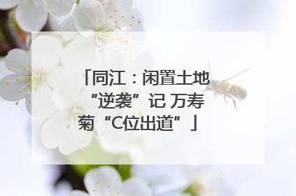 同江：闲置土地“逆袭”记 万寿菊“C位出道”