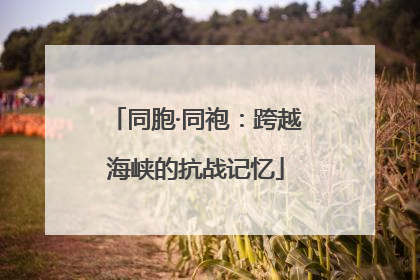 同胞·同袍：跨越海峡的抗战记忆