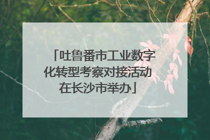 吐鲁番市工业数字化转型考察对接活动在长沙市举办