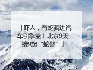吓人，有蛇藏进汽车引擎盖！北京9天接9起“蛇警”