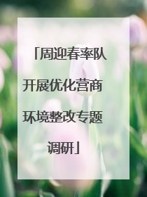 周迎春率队开展优化营商环境整改专题调研