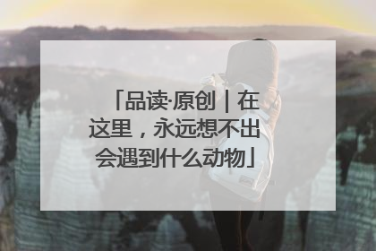 品读·原创｜在这里，永远想不出会遇到什么动物