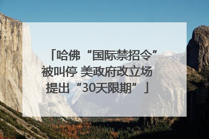 哈佛“国际禁招令”被叫停 美政府改立场提出“30天限期”