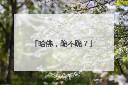 哈佛，跪不跪？