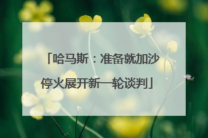哈马斯：准备就加沙停火展开新一轮谈判