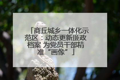 商丘城乡一体化示范区：动态更新廉政档案 为党员干部精准“画像”