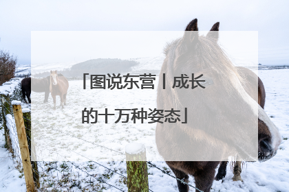 图说东营丨成长的十万种姿态