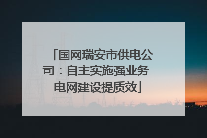 国网瑞安市供电公司：自主实施强业务 电网建设提质效