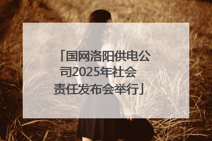 国网洛阳供电公司2025年社会责任发布会举行