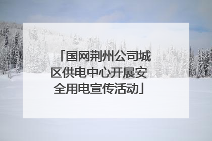 国网荆州公司城区供电中心开展安全用电宣传活动