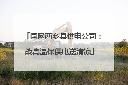 国网西乡县供电公司：战高温保供电送清凉